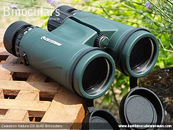 Objective Lenses on the Celestron Nature DX 8x42 Binoculars