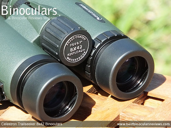 Focus Wheel on the Celestron Trailseeker 8x42 Binoculars