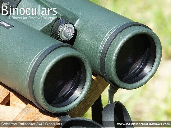 42mm Objective Lenses on the Celestron Trailseeker 8x42 Binoculars