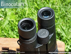 Eyecups on the Eagle Optics Denali 8x42 Binoculars