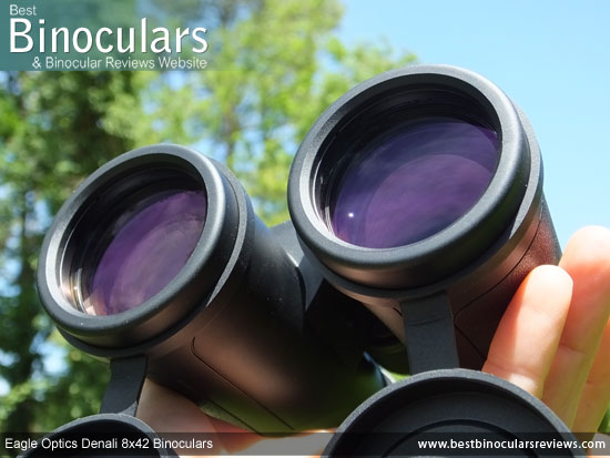 42mm Objective Lenses on the Eagle Optics Denali 8x42 Binoculars