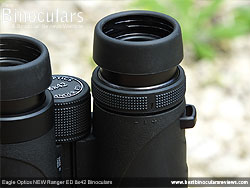 Diopter Adjustment on the Eagle Optics NEW Ranger ED 8x42 Binoculars