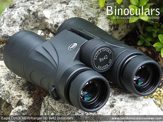 Focus Wheel on the Eagle Optics NEW Ranger ED 8x42 Binoculars