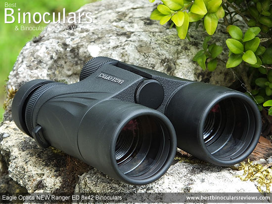 42mm Objective Lenses on the Eagle Optics NEW Ranger ED 8x42 Binoculars