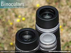 Eyecups on the Eschenbach Trophy D 8x42 ED Binoculars