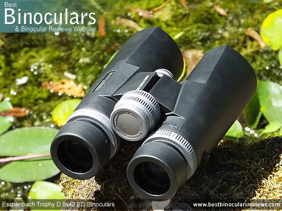 Focus Wheel on the Eschenbach Trophy D 8x42 ED Binoculars