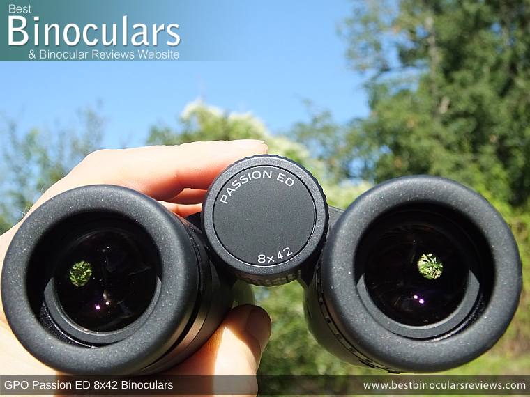 Adjusting the Focus Wheel on the GPO Passion ED 8x42 Binoculars