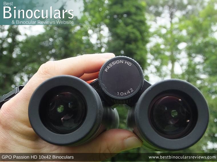 Adjusting the Focus Wheel on the GPO Passion HD 10x42 Binoculars