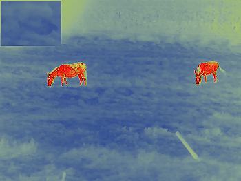 Sample Photo taken with the Guide Sensmart TN650 Thermal Binoculars