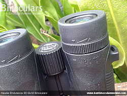 Diopter Adjustment on the Hawke Endurance ED 8x32 Binoculars