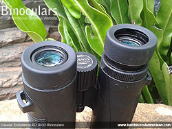 Eyecups on the Hawke Endurance ED 8x32 Binoculars