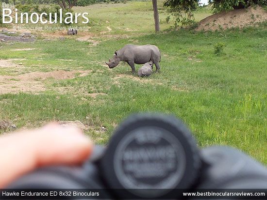 BBR On Safari With the Hawke Endurance ED 8x32 Binoculars