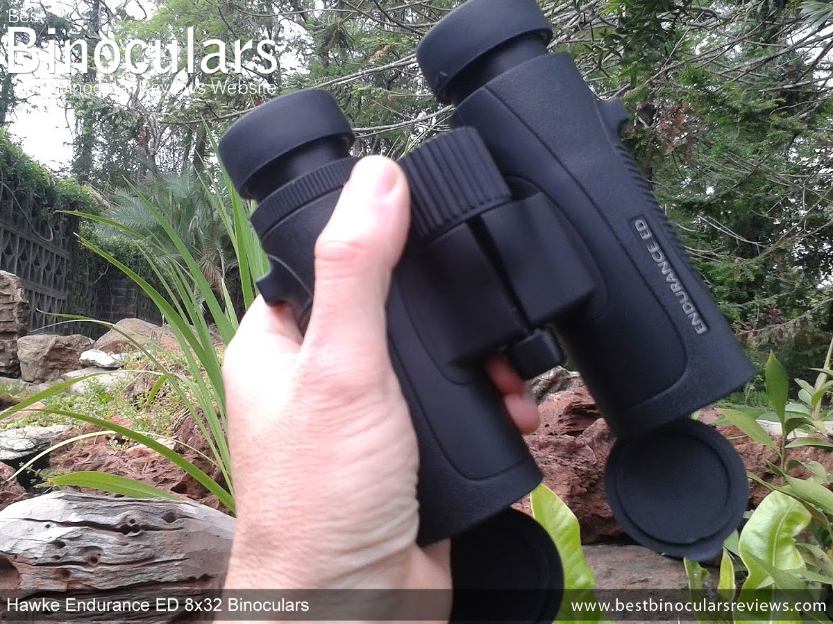 hawke endurance ed 8x32 binoculars