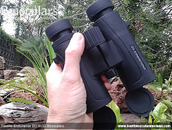 Size of the Hawke Endurance ED 8x32 Binoculars
