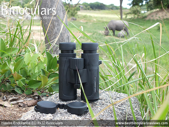 Hawke Endurance ED 8x32 Binoculars on Safari - Viewing Black Rhinos