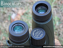 Eyecups on the Hawke Endurance ED 8x42 Binoculars