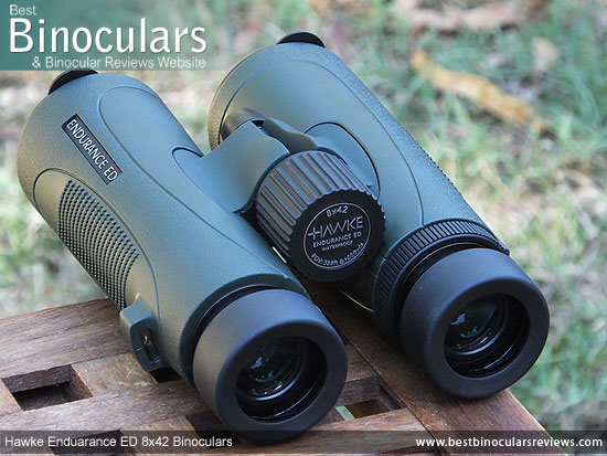 Focus Wheel on the Hawke Endurance ED 8x42 Binoculars