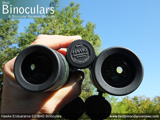 Adjusting the Focus Wheel on the Hawke Endurance ED 8x42 Binoculars