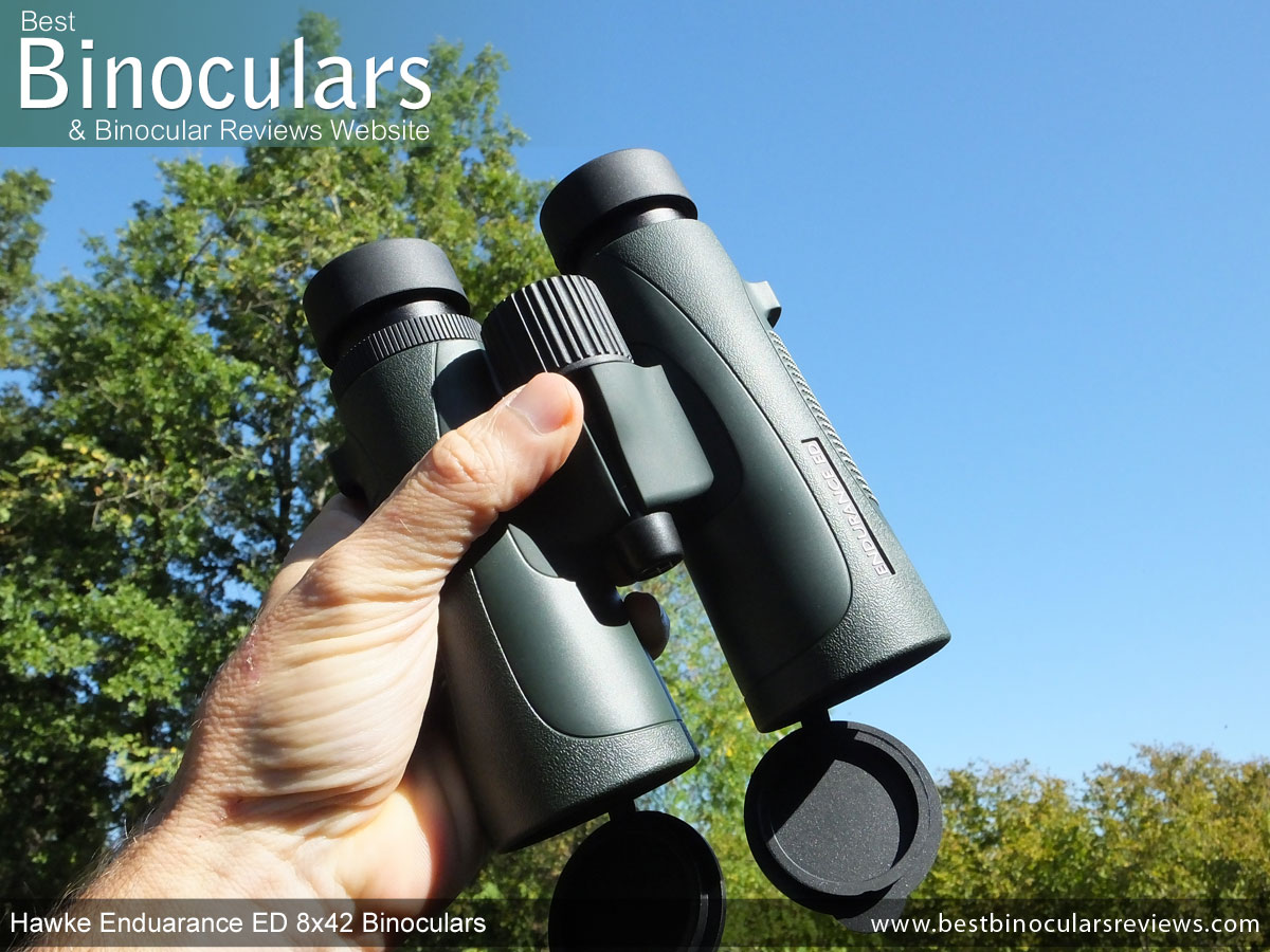 ED 8x42 Binoculars Review