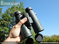 Open bridge design on the Hawke Endurance ED 8x42 Binoculars