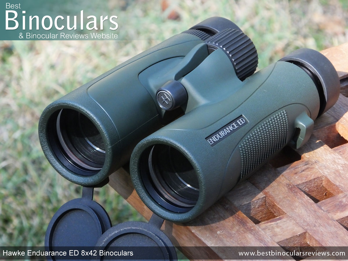 ED 8x42 Binoculars Review