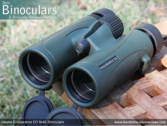 42mm Objective Lenses on the Hawke Endurance ED 8x42 Binoculars