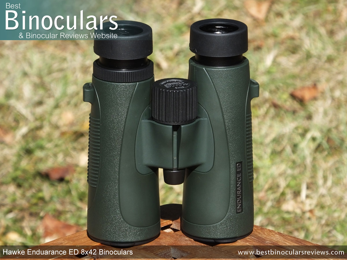 ED 8x42 Binoculars Review
