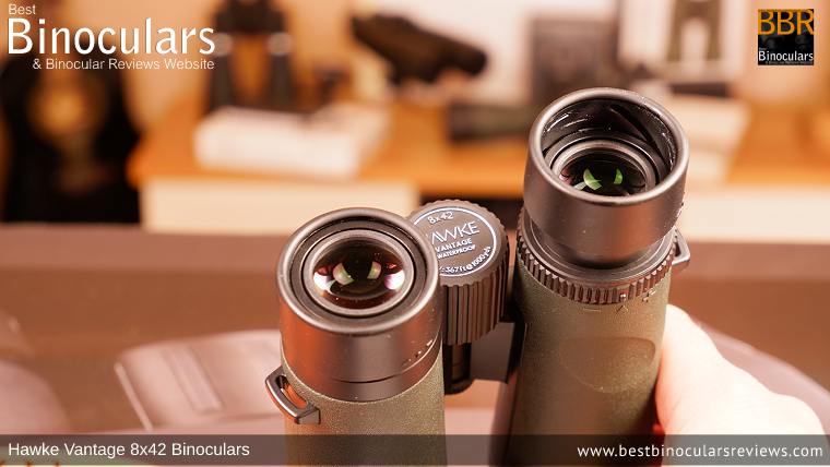 Eyecups on the Hawke Vantage 8x42 Binoculars