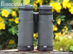 Underside of the Helios Lightwing HR 8x42 Binoculars