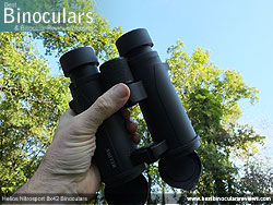 Open bridge design on the Helios Nitrosport 8x42 Binoculars