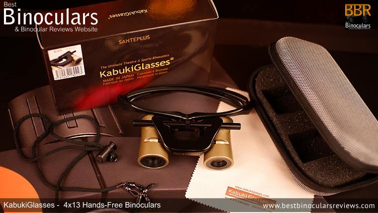 Carry Case for the Kabuki Glasses