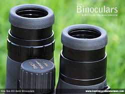 Eyecups on the Kite Ibis ED 8x42 Binoculars