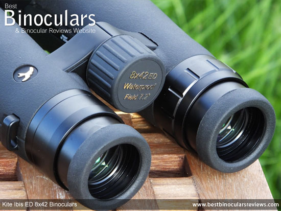 Focus Wheel on the Kite Ibis ED 8x42 Binoculars