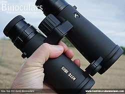 Openbridge design of the Kite Ibis ED 8x42 Binoculars