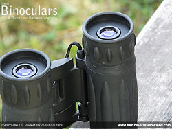 Eyecups on the Levenhuk Atom 10x25 Binoculars