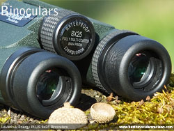 Eyecups on the Levenhuk Energy PLUS 8x25 Binoculars