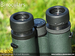 Eyecups on the Levenhuk Energy PLUS 8x25 Binoculars
