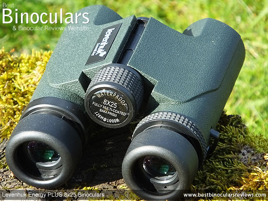 Focus Wheel on the Levenhuk Energy PLUS 8x25 Binoculars