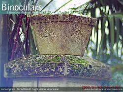 Daytime Sample Photo - Luna Optics LD-DM60-HD Monocular