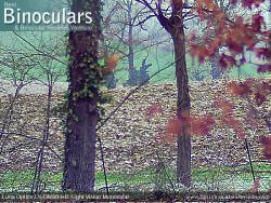 Daytime Sample Photo - Luna Optics LD-DM60-HD Monocular