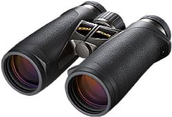 Birdwatching binoculars