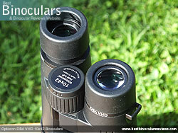 Eyecups on the Opticron DBA VHD 10x42 Binoculars