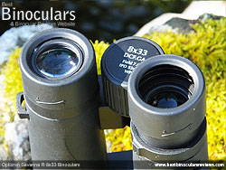 Eyecups on the Opticron Savanna R 8x33 Binoculars