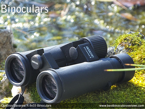 Opticron Savanna R 8x33 Binoculars on Safari - Viewing Black Rhinos