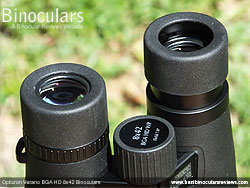 Eyecups on the Opticron Verano BGA HD 8x42 Binoculars