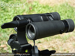 Tripod Mounted Snyped Profinder HD 8x42 Binoculars