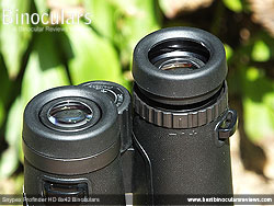 Eyecups on the Snypex Profinder HD 8x42 Binoculars