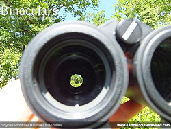Reverse view through the Snypex Profinder HD 8x42 Binoculars