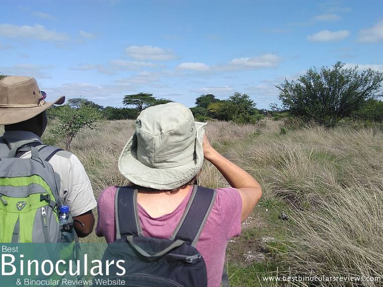 On safari with the Steiner BluHorizons 10x26 Binoculars