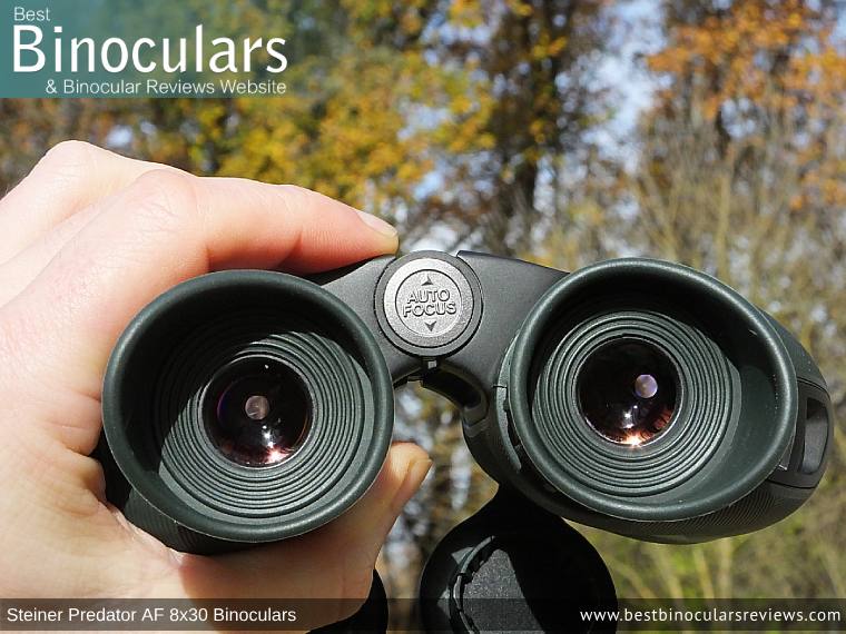 Focus Wheel on the Steiner Predator AF 8x30 Binoculars